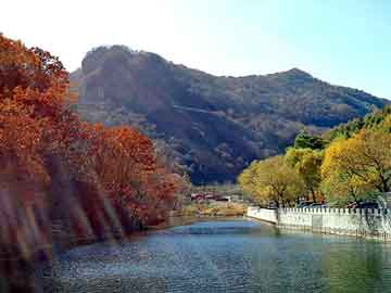 澳门期期准免费精准，朝鲜饿死人